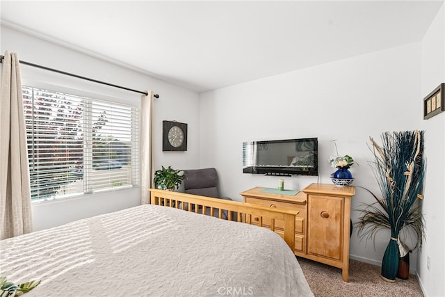 bedroom with carpet flooring