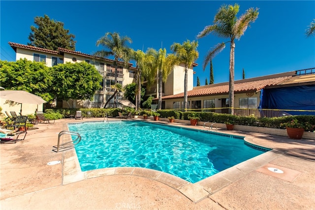 view of pool with a patio