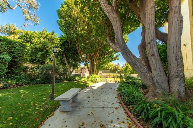 view of property's community featuring a yard