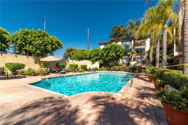 view of swimming pool featuring a patio