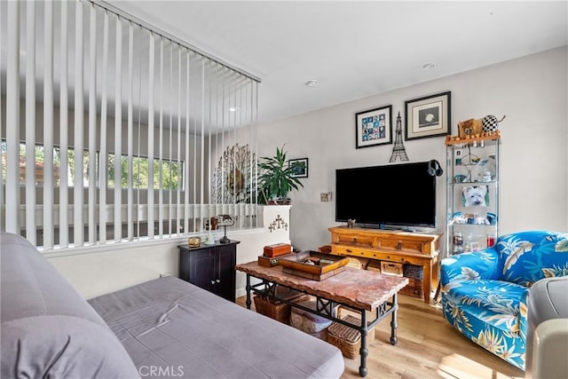 living room with hardwood / wood-style floors