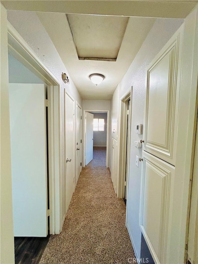 hall featuring carpet floors