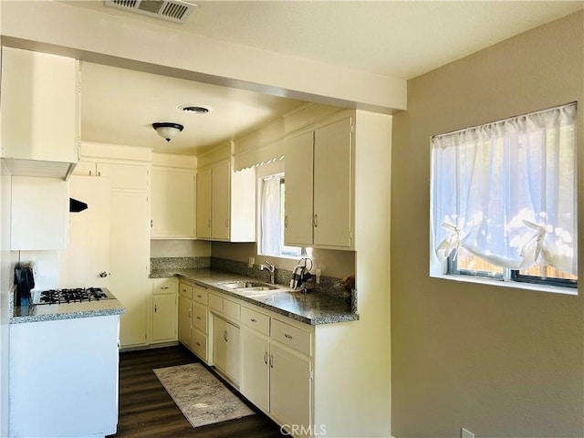 kitchen featuring dark hardwood / wood-style flooring, plenty of natural light, and sink