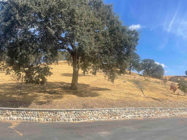 view of yard with a rural view