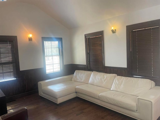 living room with vaulted ceiling and dark hardwood / wood-style flooring