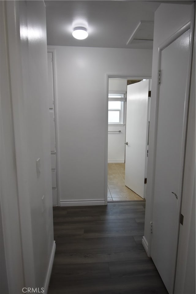 hall featuring dark wood-type flooring