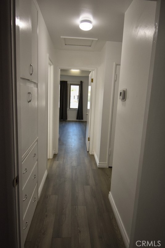 corridor with dark wood-type flooring