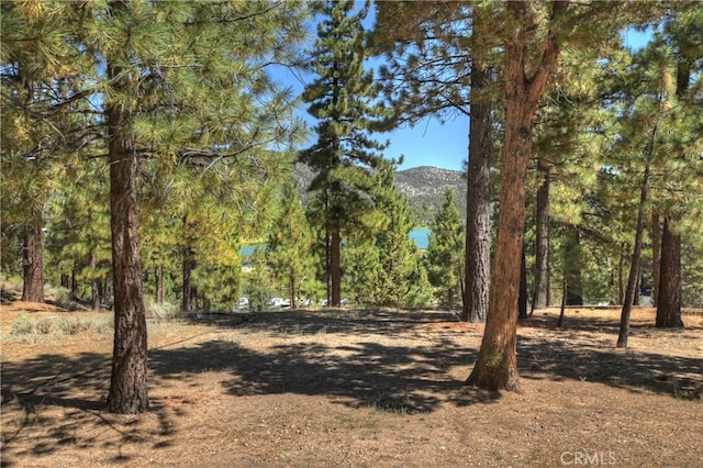 view of local wilderness with a mountain view