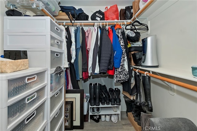 spacious closet with hardwood / wood-style flooring