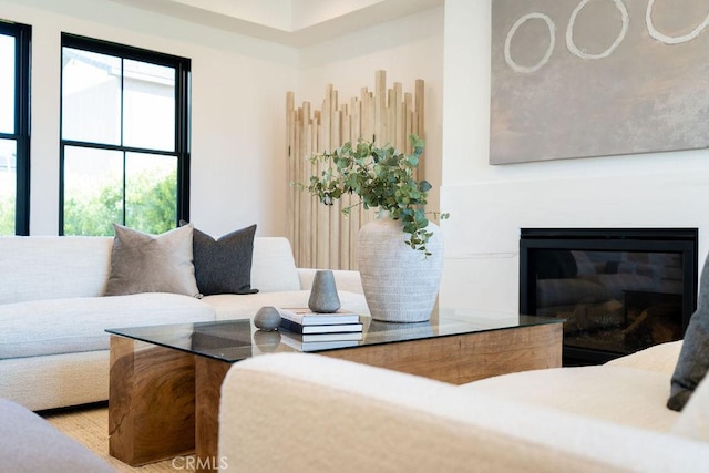 living room featuring hardwood / wood-style flooring