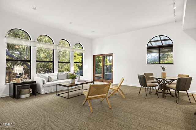 carpeted living room with rail lighting and baseboards