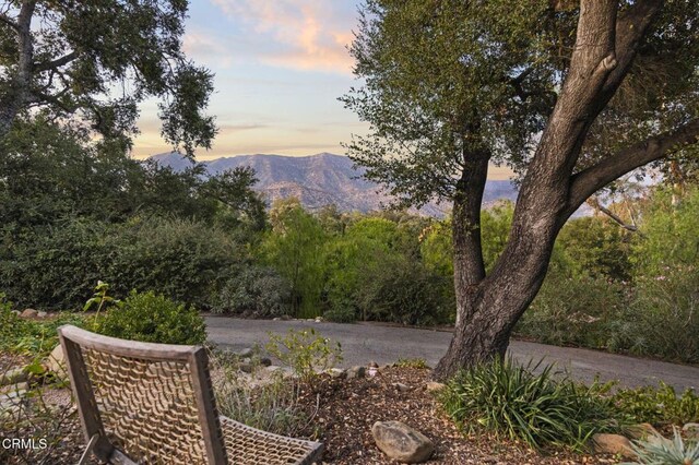 view of home's community featuring a mountain view