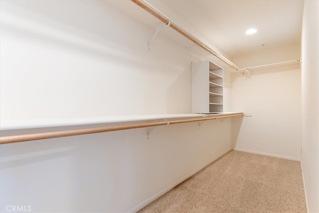 spacious closet featuring carpet floors