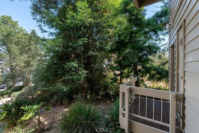 1550 Pineridge Dr, Cambria, CA 93428 - view of yard