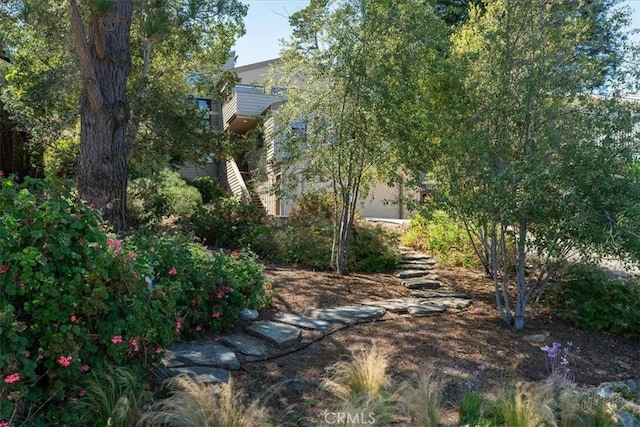 1550 Pineridge Dr, Cambria, CA 93428 - view of yard