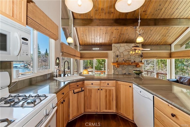 kitchen with dark hardwood / wood-style floors, sink, white appliances, and a wealth of natural light