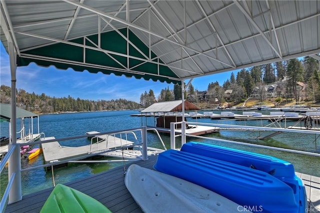 dock area with a water view