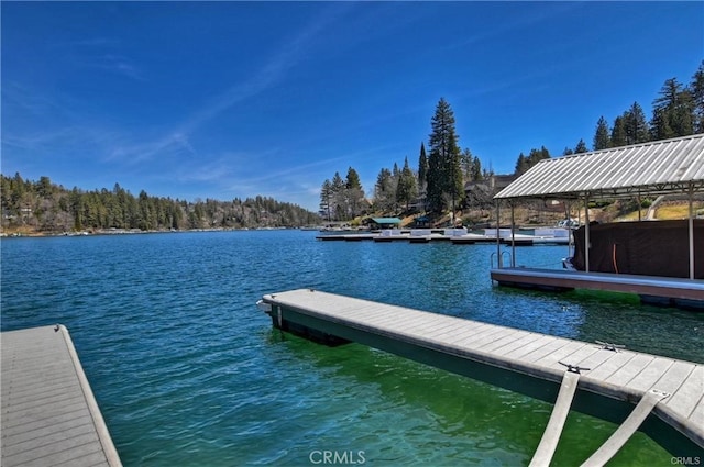 dock area featuring a water view