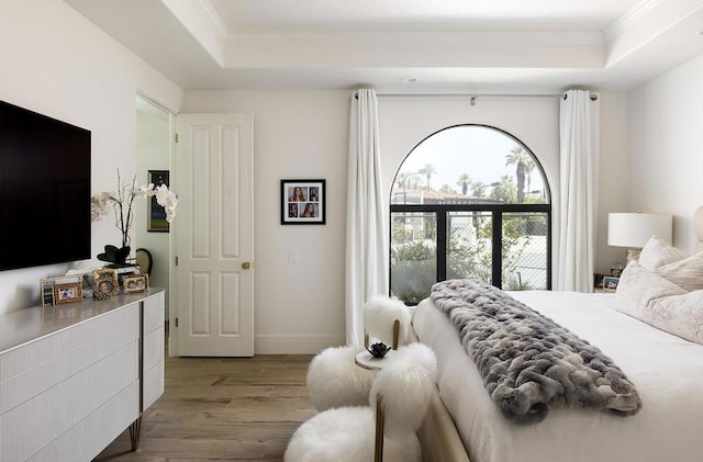 bedroom with a raised ceiling, light hardwood / wood-style floors, and ornamental molding