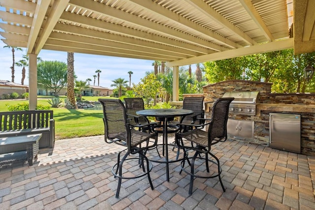 view of patio / terrace with area for grilling