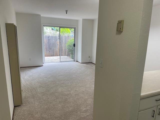 spare room featuring light colored carpet