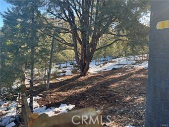1604 Linden Dr, Pine Mountain Club, CA 93222 - photo 3