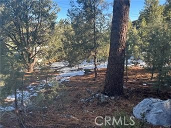 Listing photo 2 for 1604 Linden Dr, Pine Mountain Club CA 93222