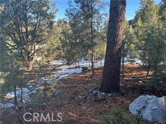 1604 Linden Dr, Pine Mountain Club, CA 93222 - photo 2