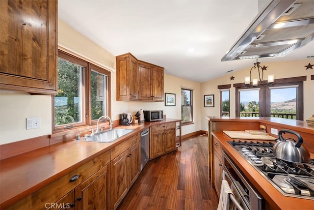 kitchen featuring vaulted ceiling, dark wood-type flooring, stainless steel appliances, sink, and a notable chandelier