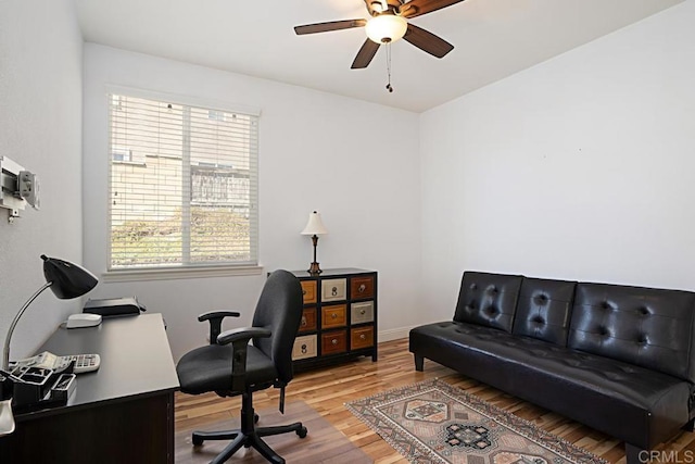 office area with ceiling fan and hardwood / wood-style flooring