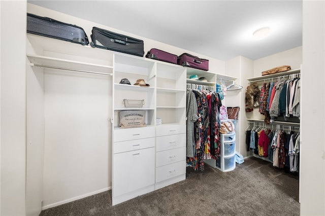 walk in closet with dark colored carpet