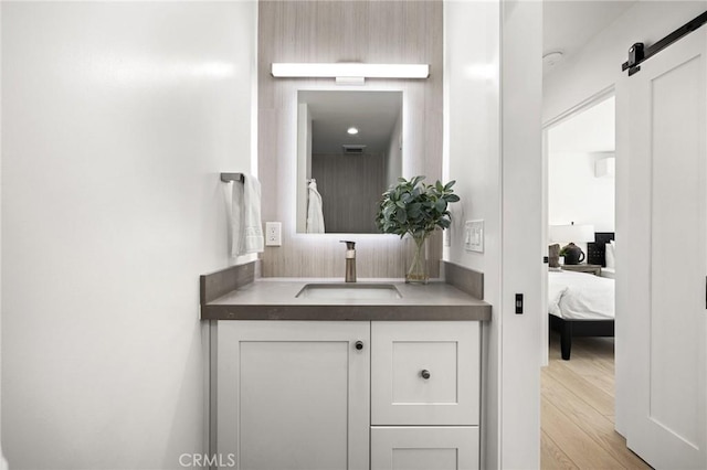 bathroom with wood-type flooring and vanity