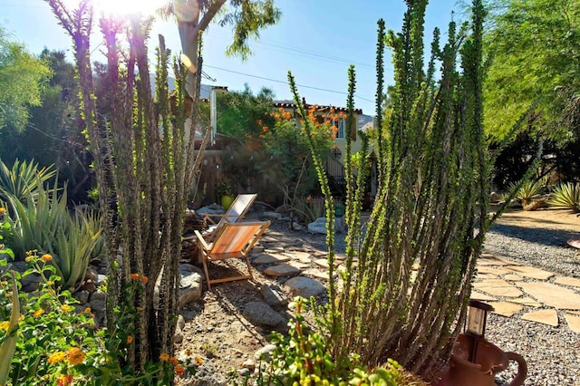 view of yard with a patio area