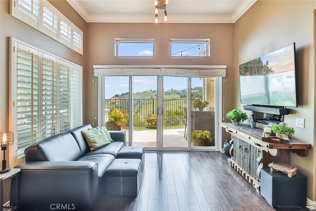 living room featuring ornamental molding and dark wood-type flooring