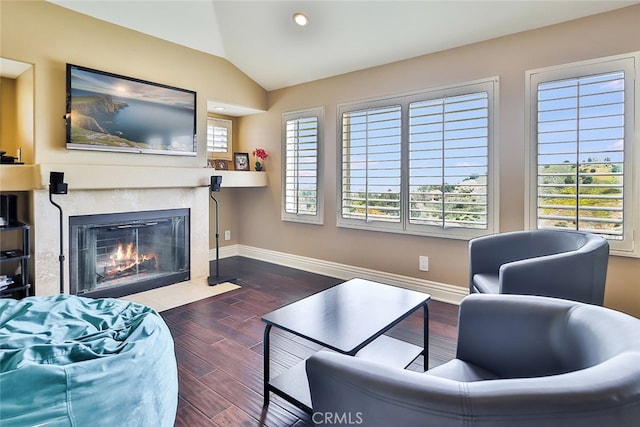 living room featuring vaulted ceiling and dark wood-type flooring