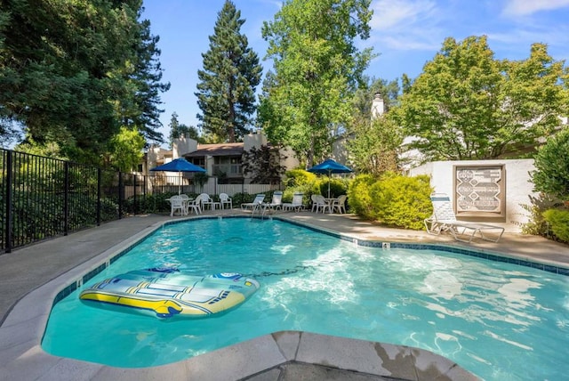 view of swimming pool with a patio