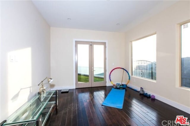 workout area featuring dark hardwood / wood-style flooring and french doors