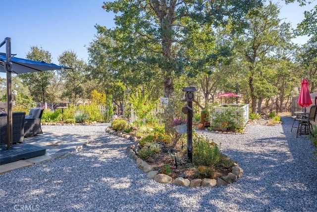 view of yard featuring a patio