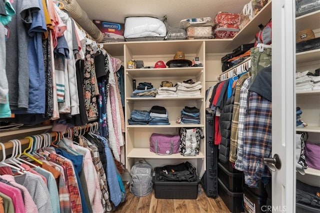 spacious closet with hardwood / wood-style floors