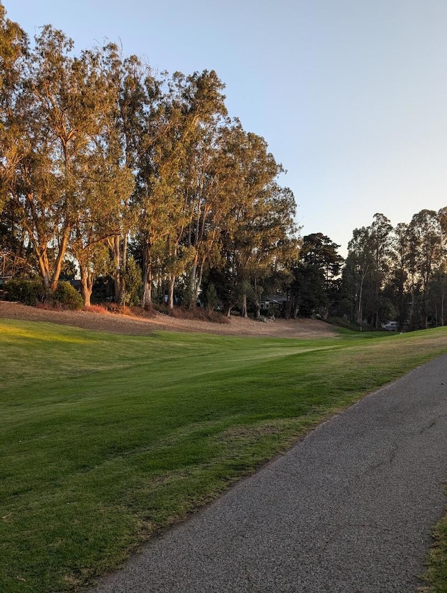 view of community featuring a yard