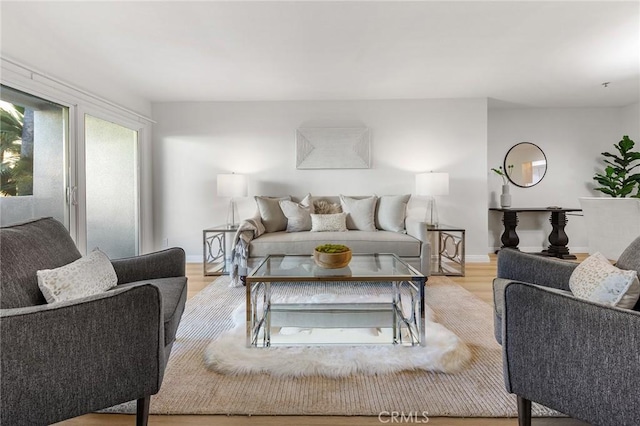 living room featuring light hardwood / wood-style floors