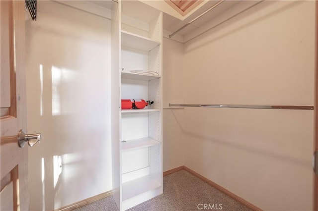 walk in closet with carpet