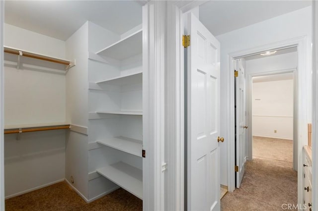 walk in closet featuring light colored carpet