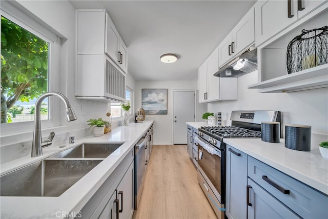 kitchen featuring appliances with stainless steel finishes, a healthy amount of sunlight, light wood-type flooring, and sink