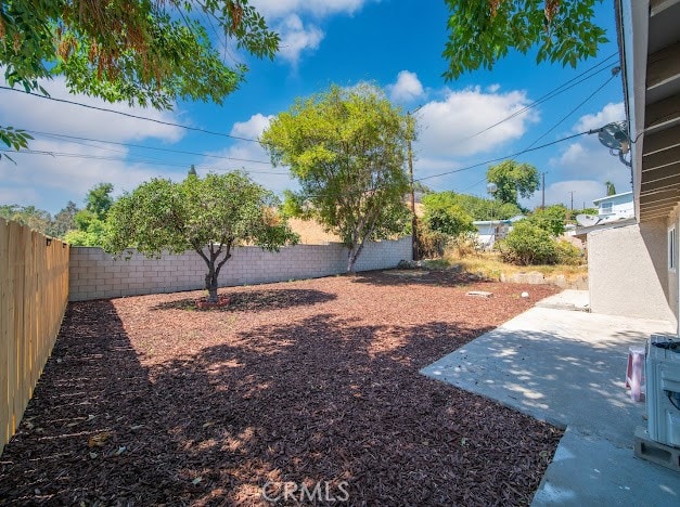 view of yard featuring a patio