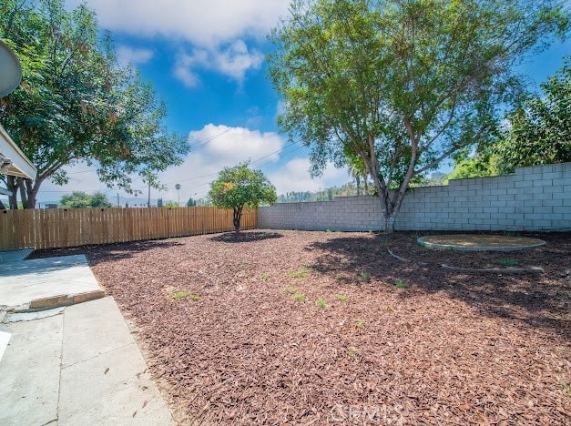 view of yard featuring a patio