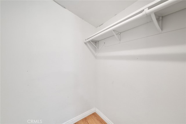 walk in closet featuring wood-type flooring