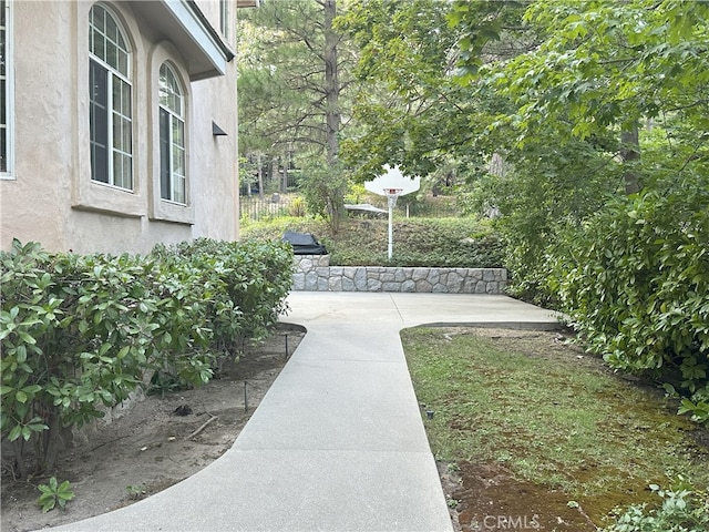 view of yard with a patio area