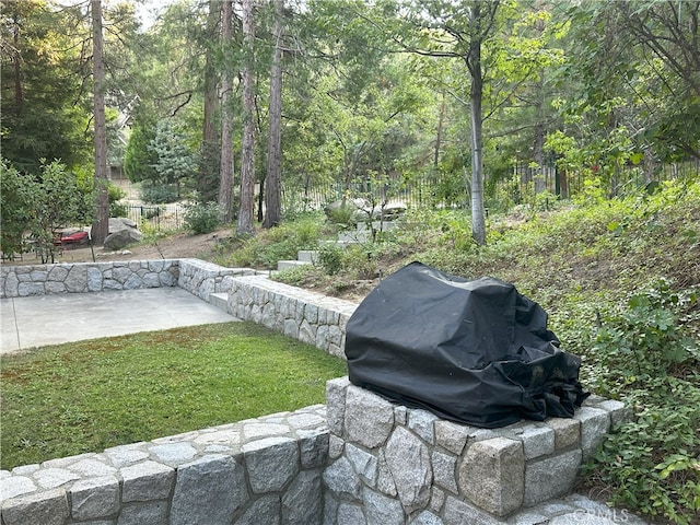 view of yard with a patio area