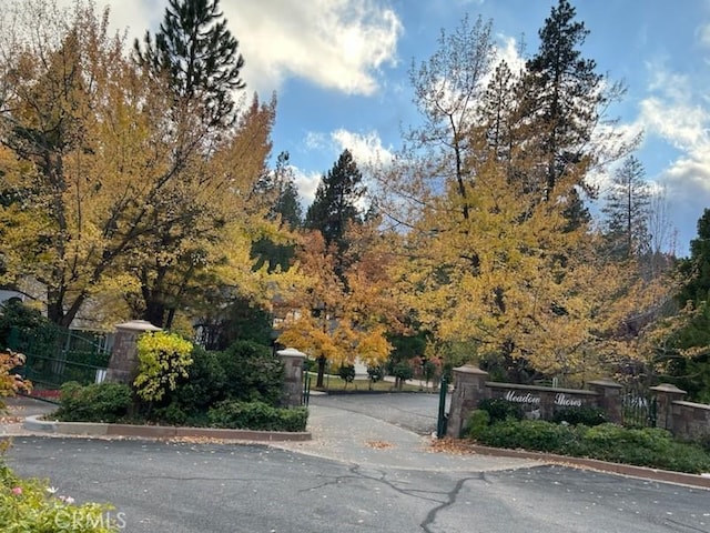 27442 Meadow Bay Dr, Lake Arrowhead, CA 92352 - view of home's community